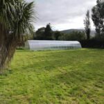 Agro Titanas (Premium)