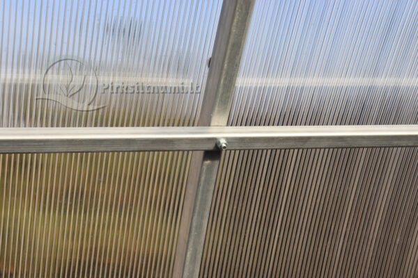 Lašas PLIUS (Premium)