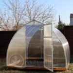 Lašas PLIUS (Premium)