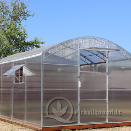 Stačiasienis Plius (Premium)